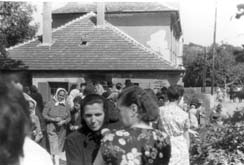 eika image